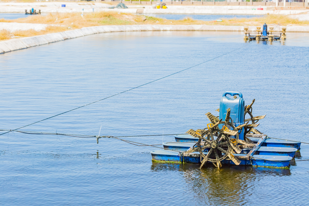 Paddlewheel Aerator