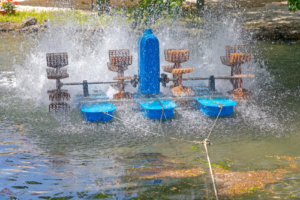 Aerator