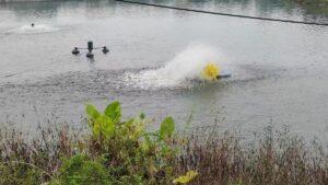 Aerator machine