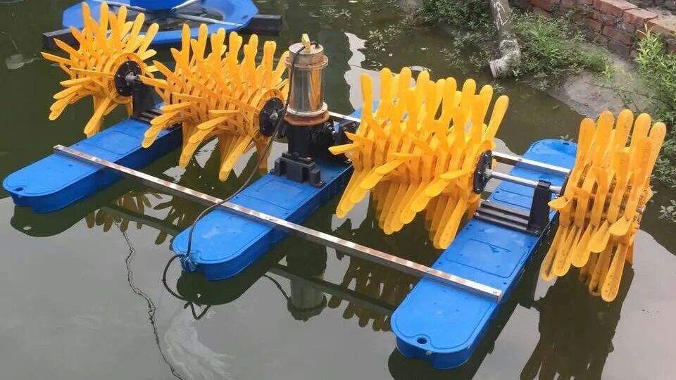 paddlement machine